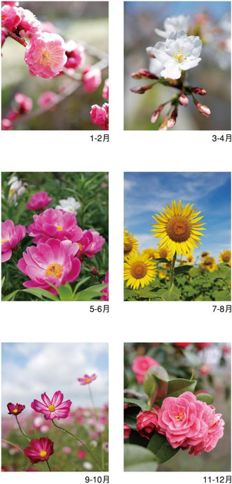 New Japan Calendar 2025 Wall Calendar Flower Scene The Beautiful Flowers of Nature NK494