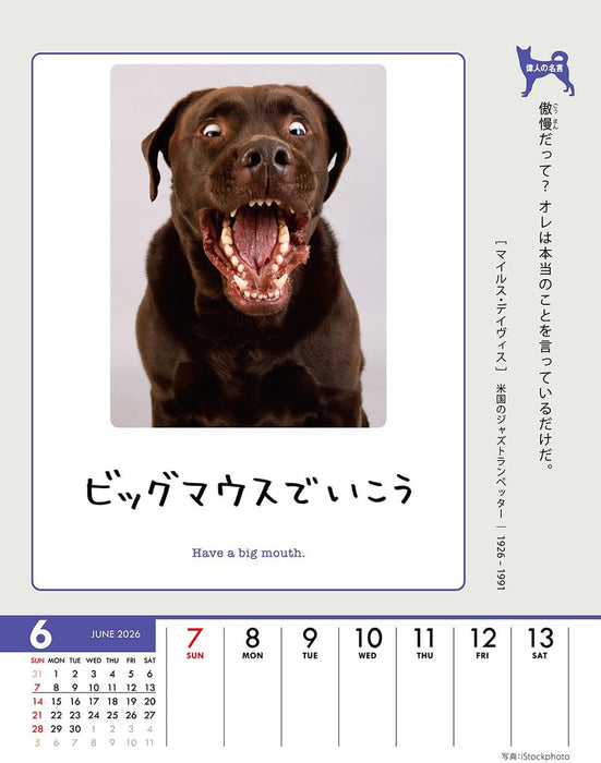 Try-X Only One Chance at Life! 2026 Desk Wall Calendar CL-383 18 x 14cm