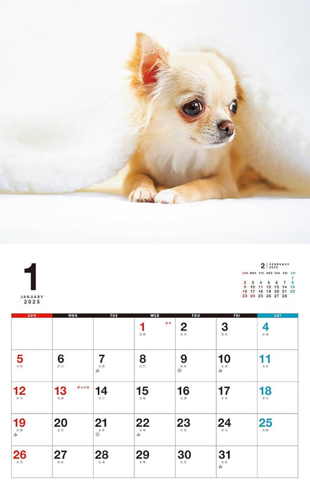 I LOVE Chihuahua Calendar 2025 (Monthly/Wall Calendar)