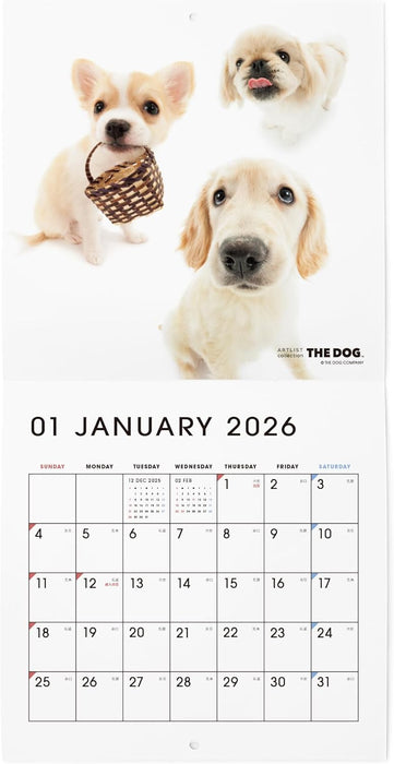 THE DOG 2026 Wall Calendar Mini Size [All Stars]