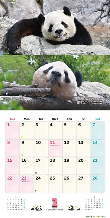Try-X Xiang Xiang Xiaoxiao Lei Lei 2026 Wall Calendar CL-385 48 x 24cm