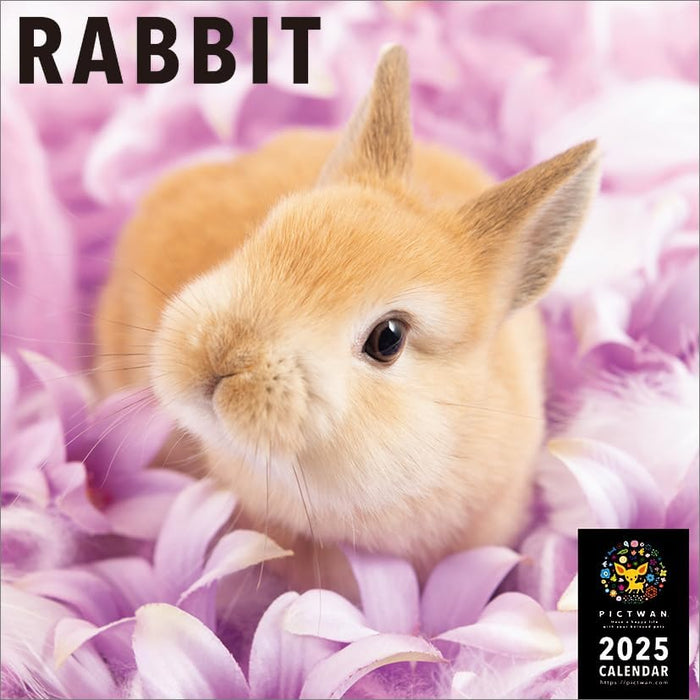 PICTWAN 2025 Calendar Rabbit