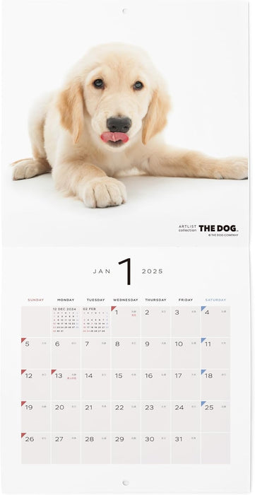 THE DOG 2025 Wall Calendar Mini Size [Golden Retriever]