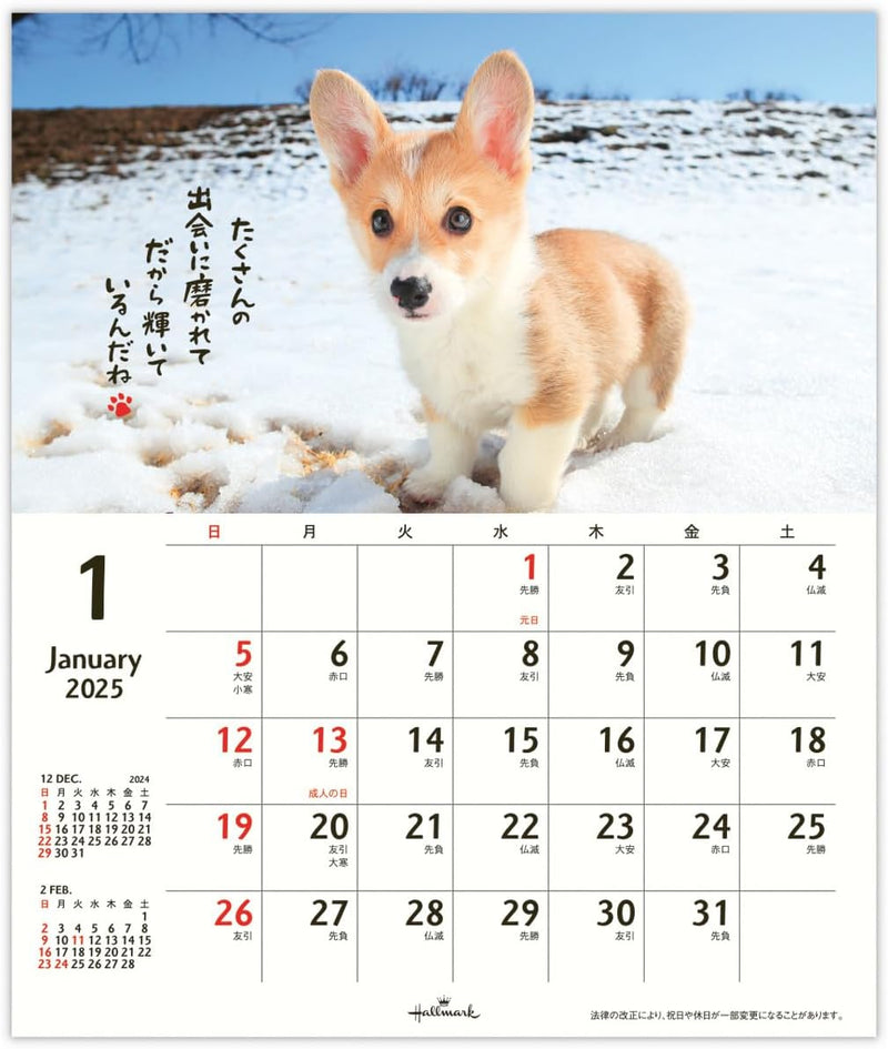 Hallmark 2025 Wall Calendar Homewanko Small 834-722