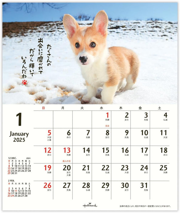 Hallmark 2025 Wall Calendar Homewanko Small 834-722