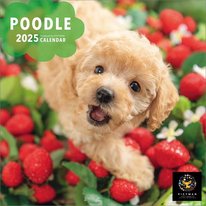 PICTWAN 2025 Calendar S Edition Poodle CL25-1239