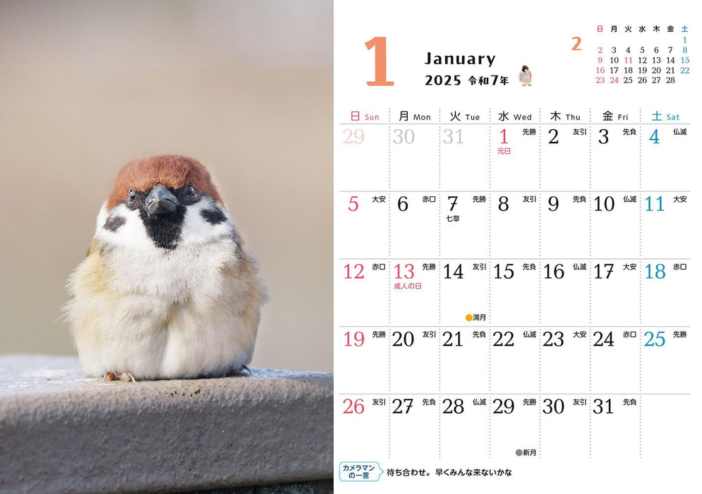 Suzume Gurashi mini Calendar 2025 (Impress Calendar 2025)