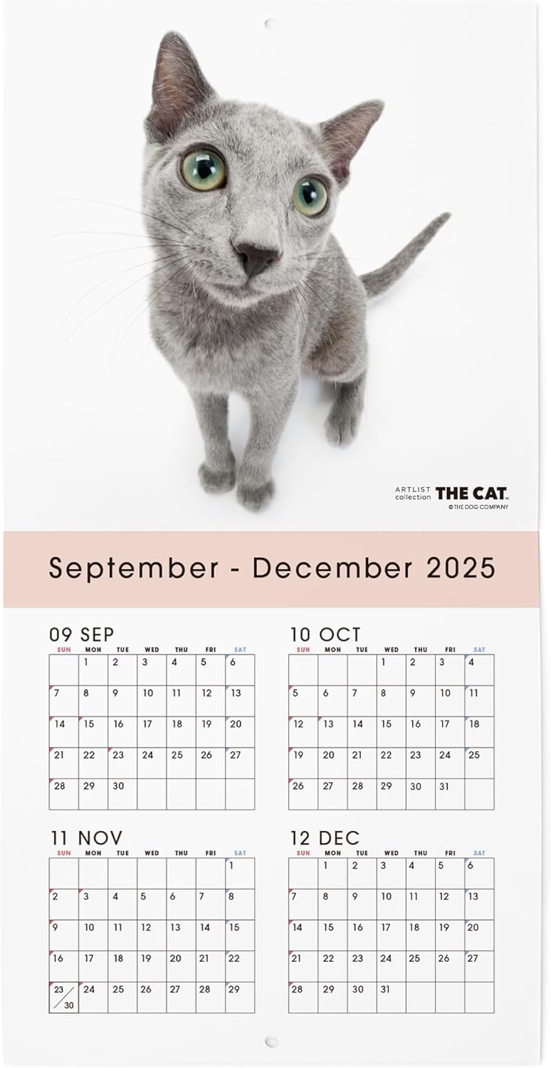 THE CAT 2026 Wall Calendar Mini Size [Russian Blue]
