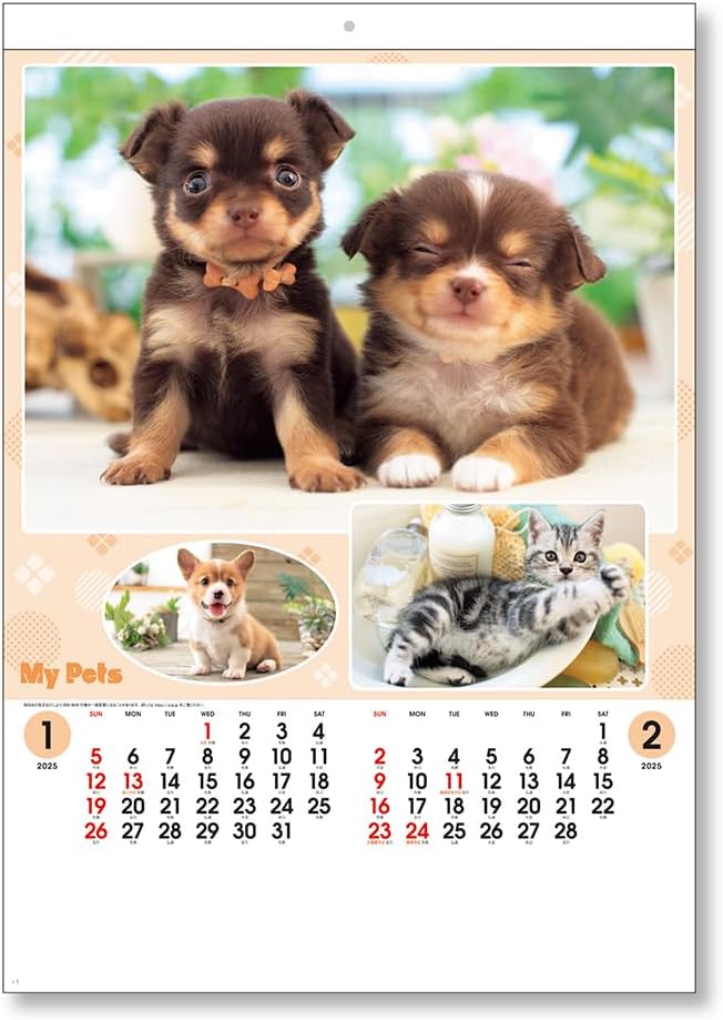 King Corporation 2025 Wall Calendar My Pet B3 538 x 379mm KC30130
