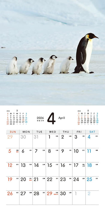 Baby Emperir Penguin Calendar 2026