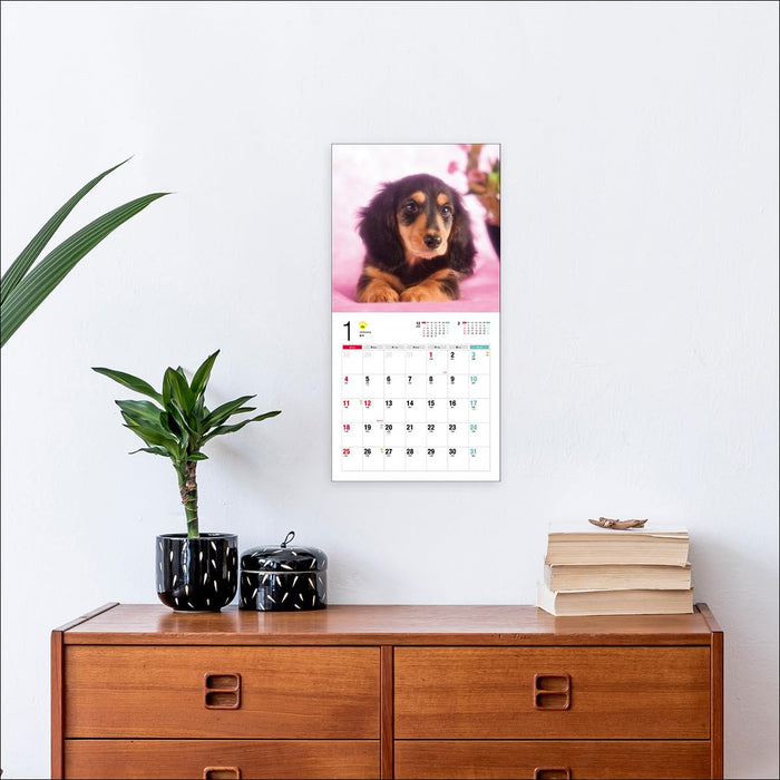 2026 Miniature Dachshund Calendar (Seibundo-shinkosha Calendar)