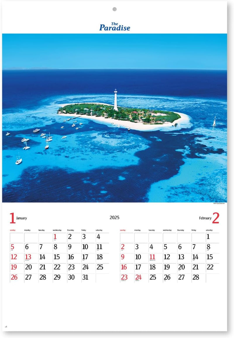 New Japan Calendar 2025 Wall Calendar The Paradose 610x425mm NK113