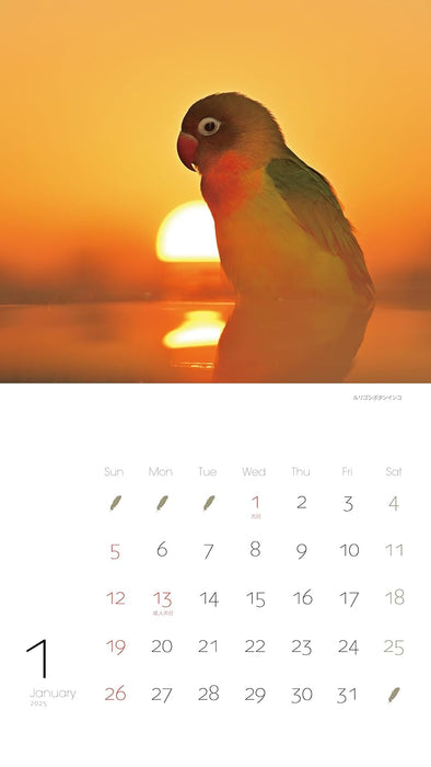 2025 Kawainko Calendar Parrots and Small Birds Calendar (Monthly/Wall Calendar) (Yama-kei Calendar 2025)