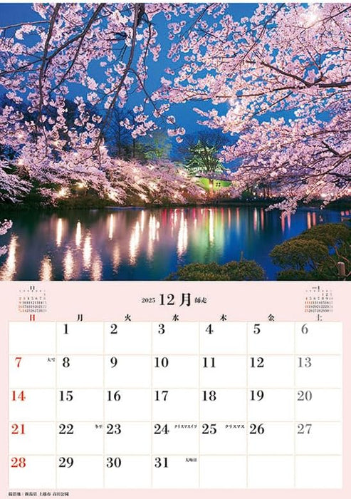 Try-X Jumbo 'Cherry Blossoms of Japan' Schedule 2025 Wall Calendar CL-471 B2