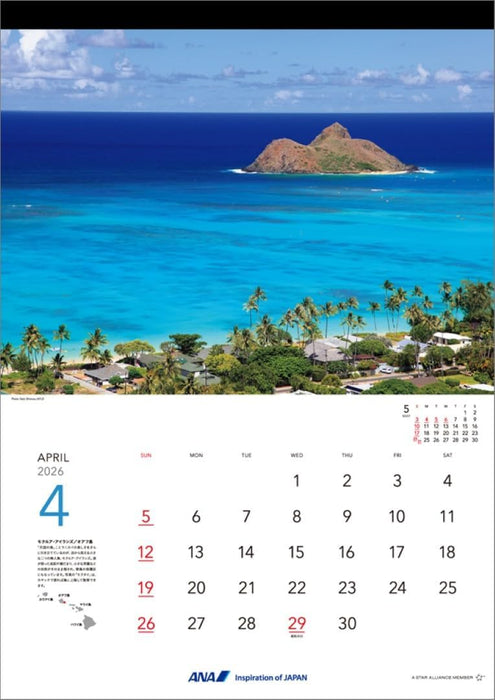 ANA 'Graphic Gallery Hawaii' 2026 Wall Calendar CL26-1144