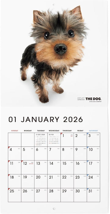 THE DOG 2026 Wall Calendar Mini Size [Yorkshire Terrier]