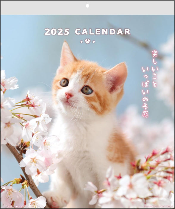 Active Corporation 2025 CAT Wall Calendar 25ACL-02