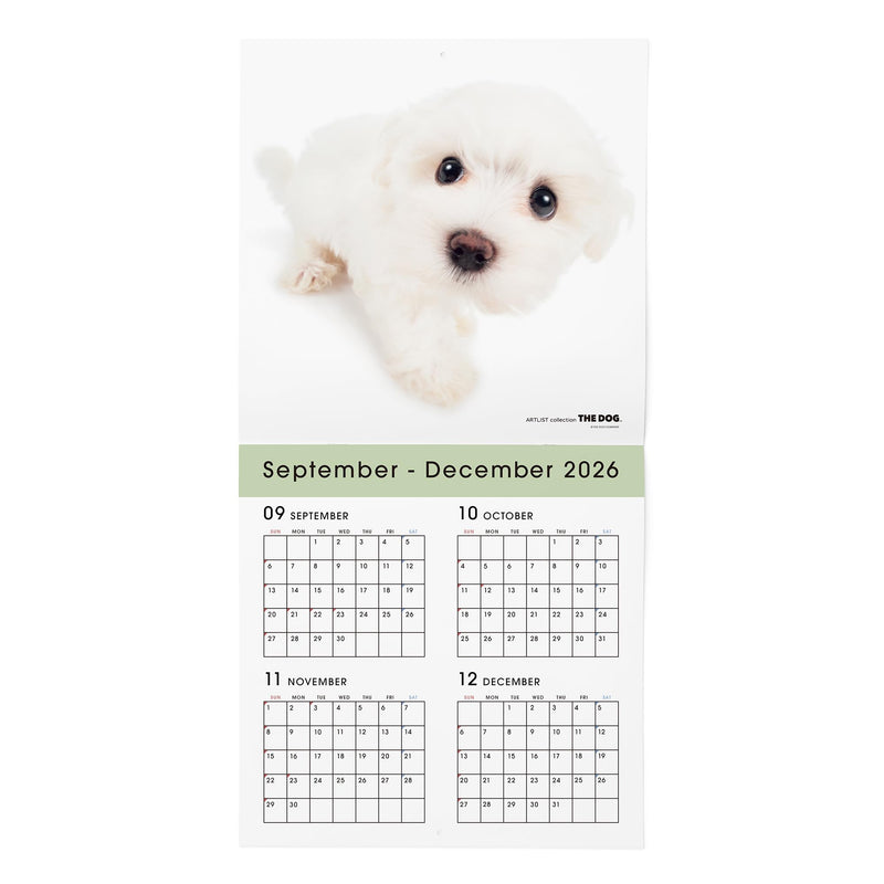 Eco Wall & Desk Calendar 2027 Modifed B7 E161