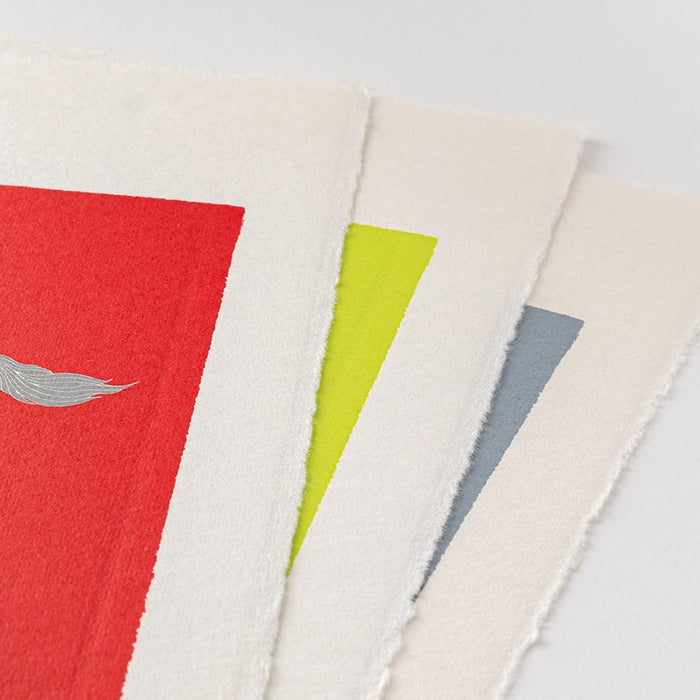 Midori 2026 Wall Calendar Washi Calendar S Animal 31385006