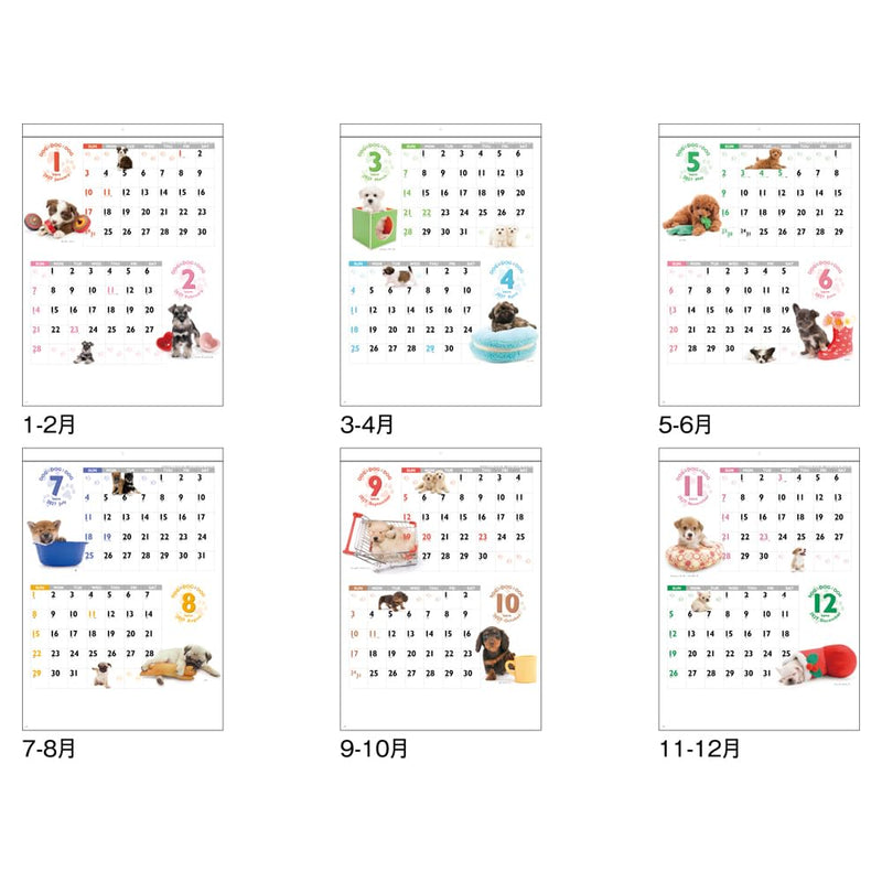 King Corporation 2027 Wall Calendar DOG DOG DOG B3 535 x 380mm KC30129