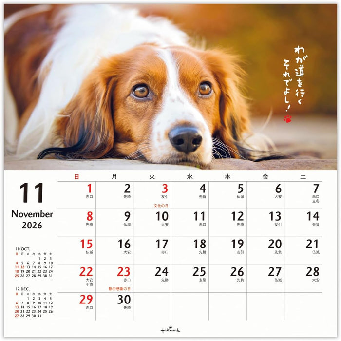 Hallmark 2026 Wall Calendar Homewanko Large 845292