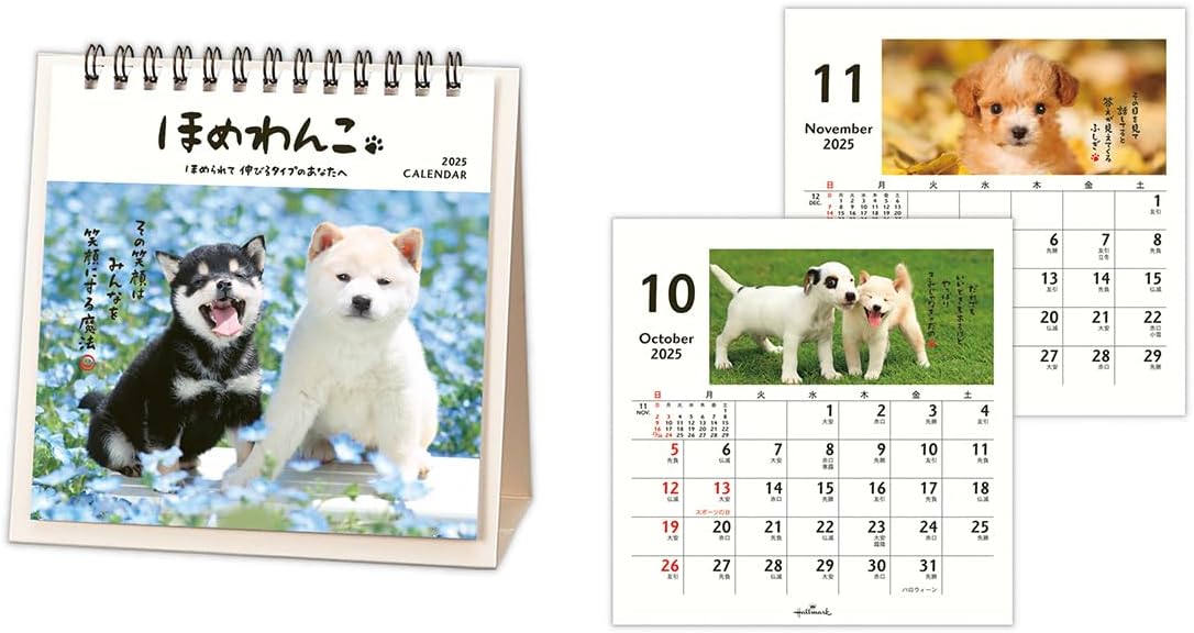 Hallmark 2025 Desk Calendar Homewanko 834-838