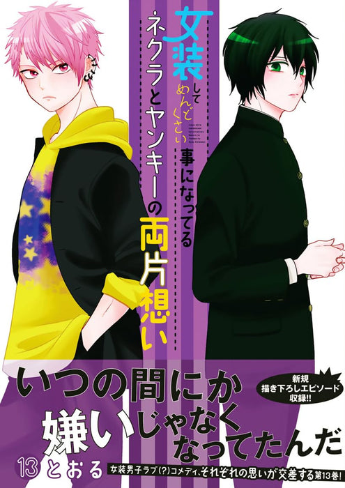 Crossplay Love: Otaku x Punk (Josou Shite Mendokusai Kotoninatteru Nekura to Yankee no Ryou Kataomoi) 13