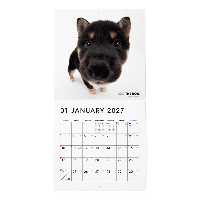 THE DOG 2027 Wall Calendar Mini Size [Shiba]