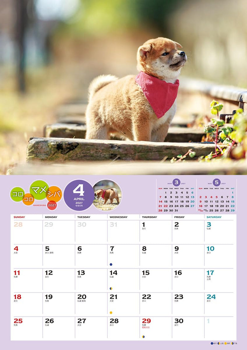 Try-X 2027 Wall Calendar Korokoro Mameshiba 27CL-381 51x36cm