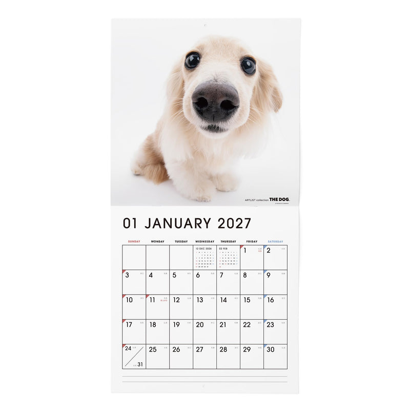 THE DOG 2027 Wall Calendar Mini Size [Welsh Corgi]