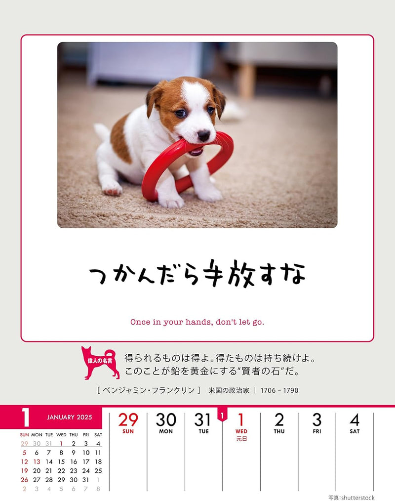 Try-X Only One Chance at Life! 2025 Desk Wall Calendar CL-383 18 x 14cm