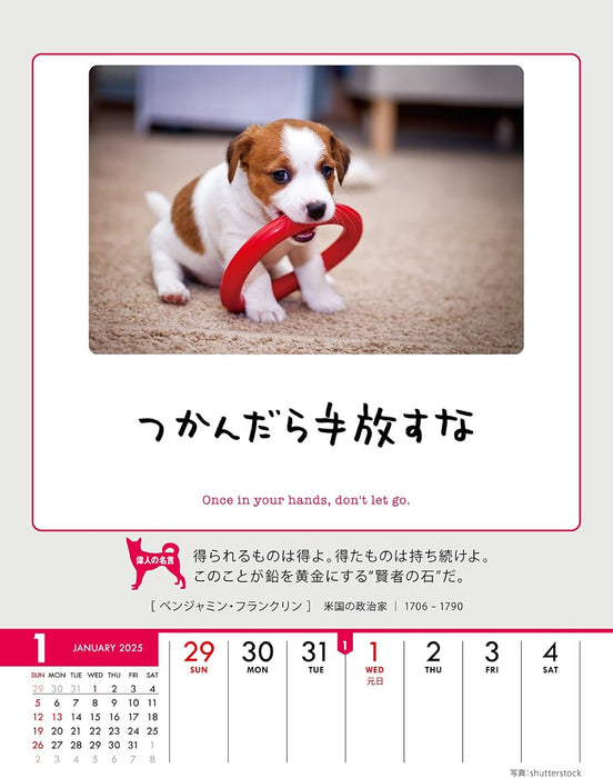 Try-X Only One Chance at Life! 2025 Desk Wall Calendar CL-383 18 x 14cm