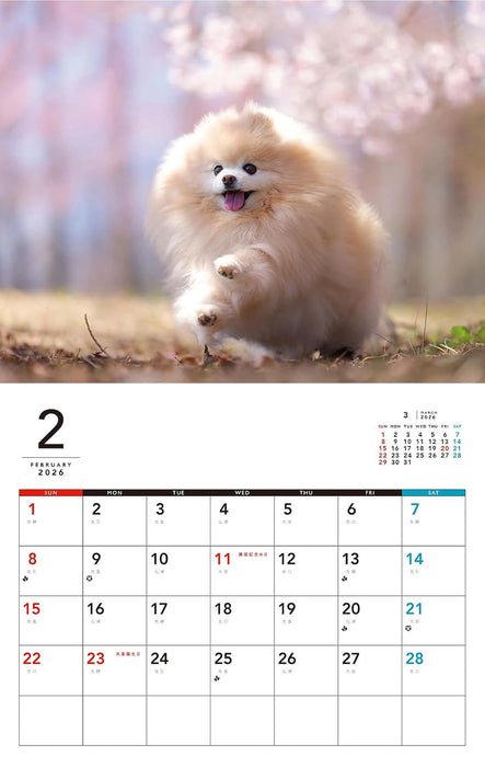 I LOVE Pomeranian Calendar 2026 (Monthly/Wall Calendar)