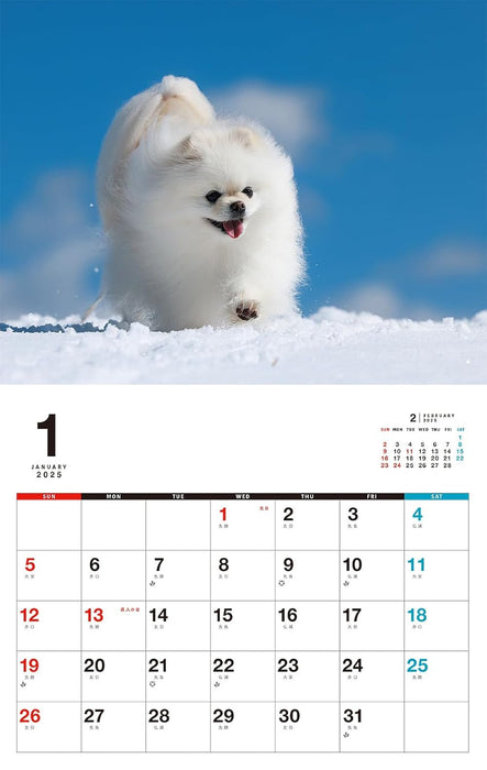 I LOVE Pomeranian Calendar 2025 (Monthly/Wall Calendar)