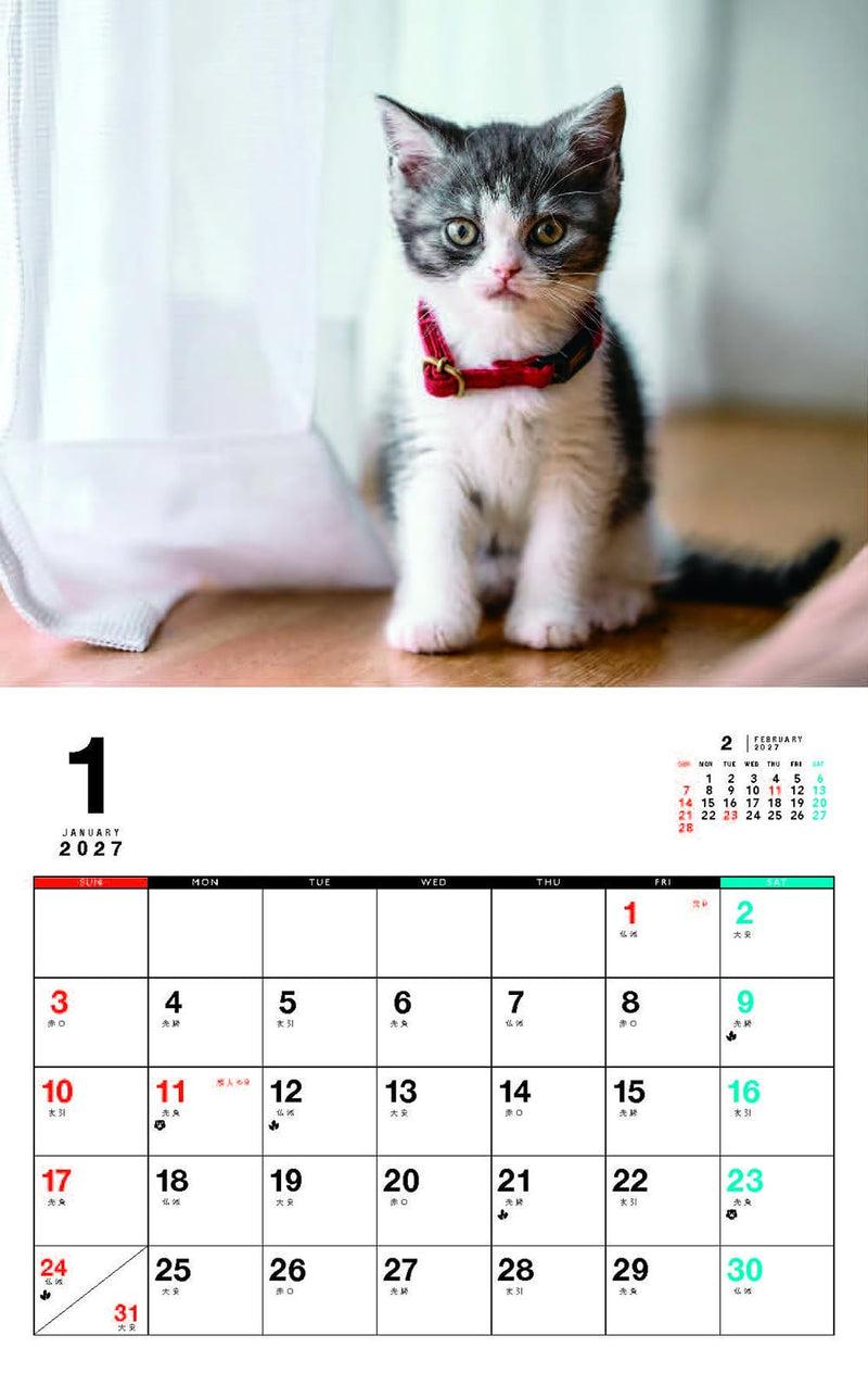 Kittens Calenddar 2027 (Monthly/Wall Calendar)