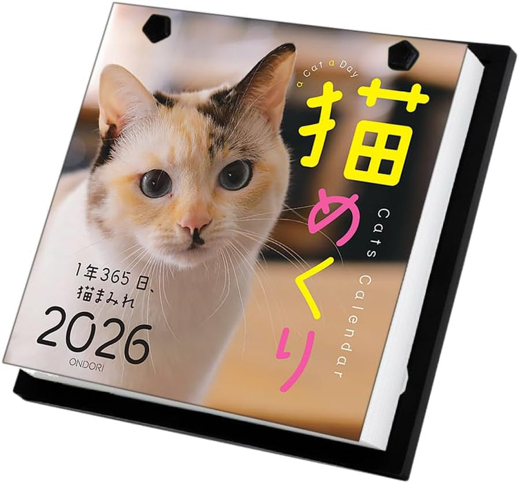 CO2 Cats 2026 Page-A-Day Calendar CK-C26-01