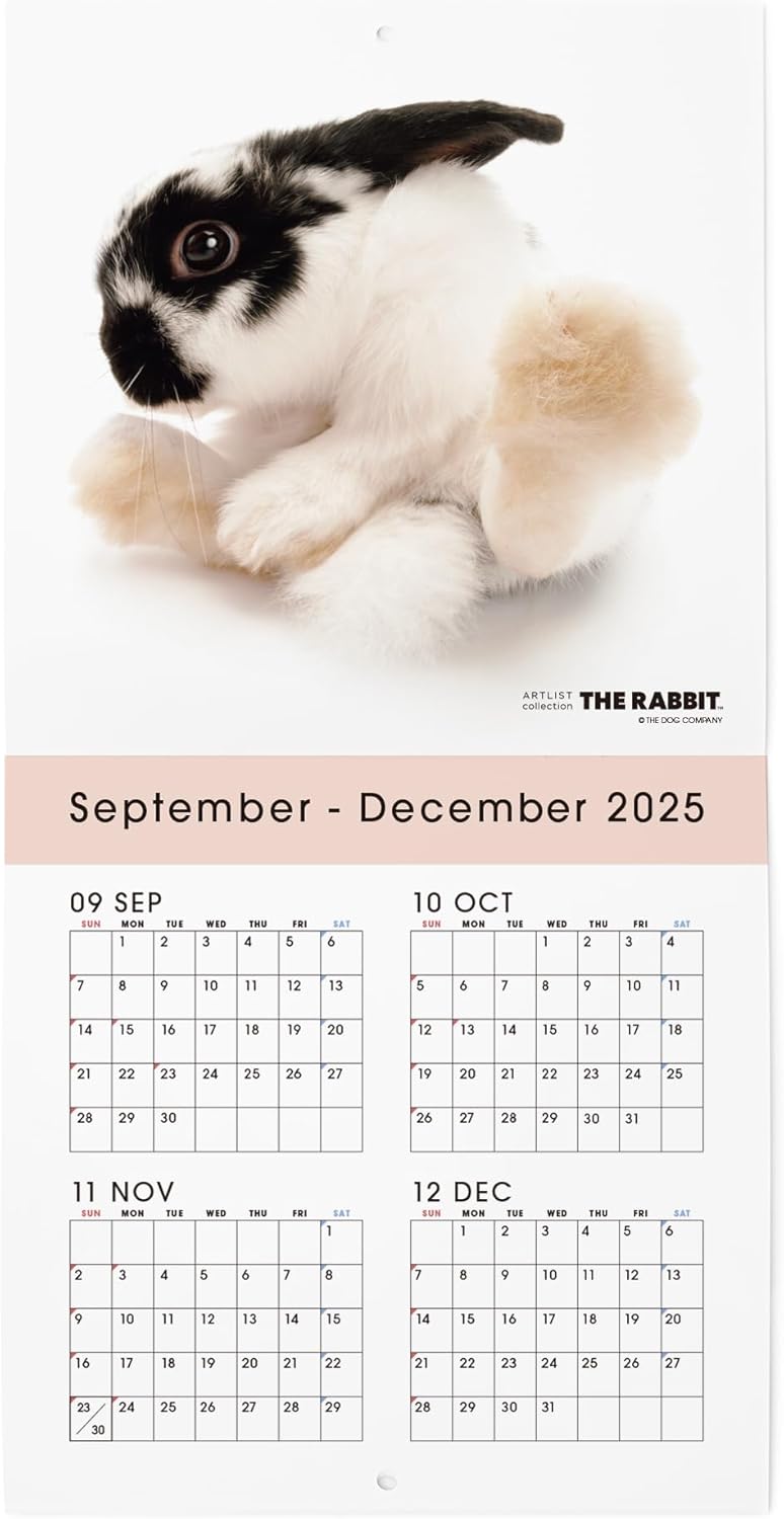 THE RABBIT 2026 Wall Calendar Mini Size
