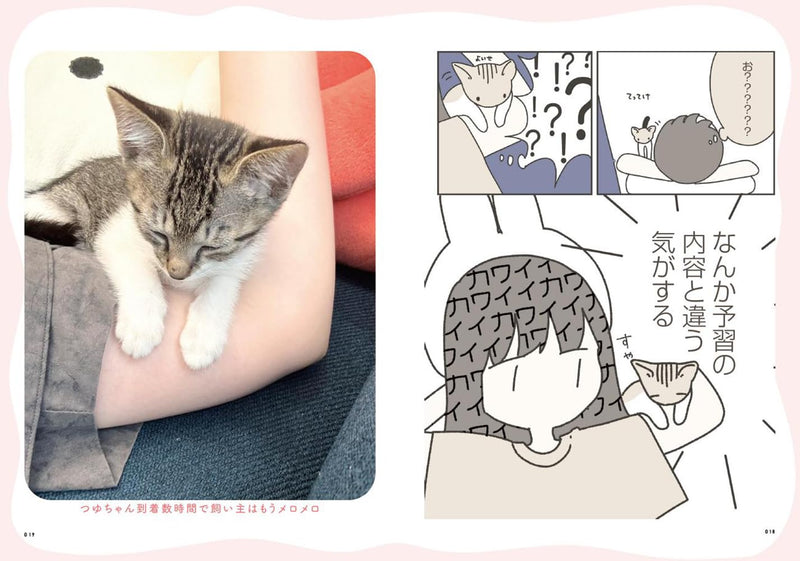 Neko no Tsuyu-chan no Koto de Atama ga Ippai desu
