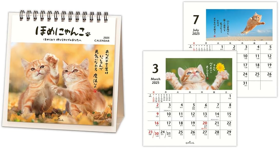 Hallmark 2025 Desk Calendar Homenyanko 834-845