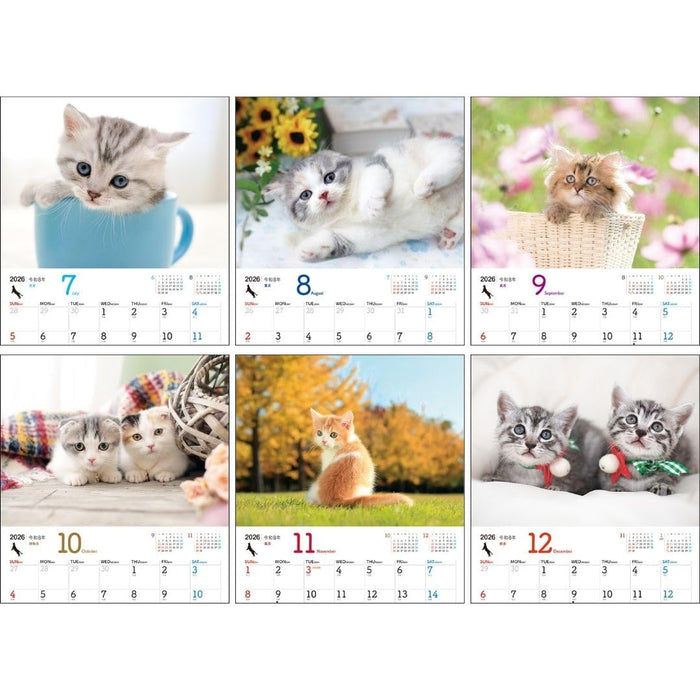 JTB Calendar Nyanko 2026 Wall Calenda