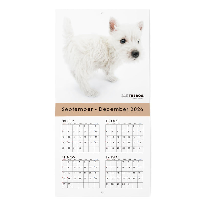 Almost Cats Calendar 2027
