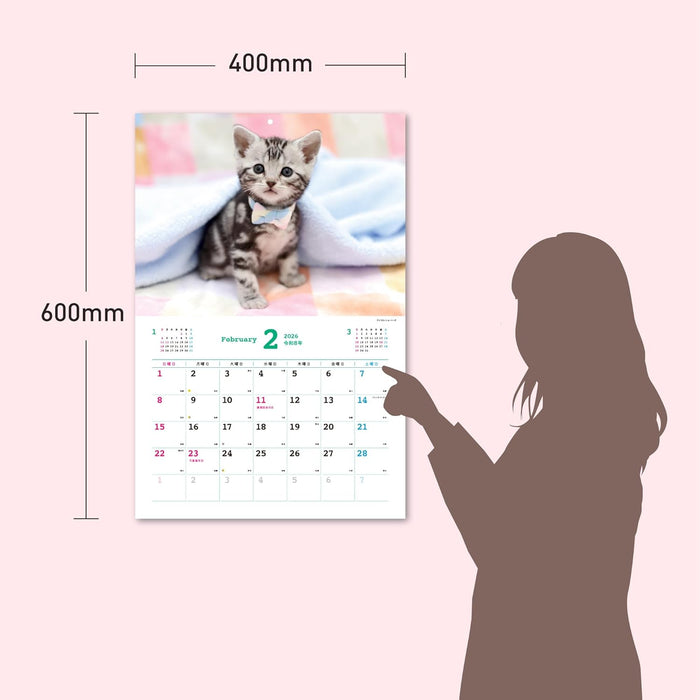 Too Cute Cat Calendar 2026