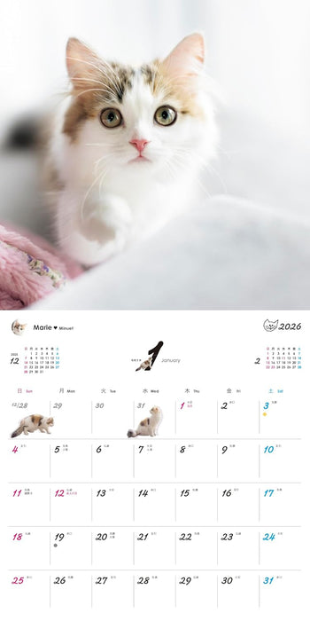 Orange Page Uchi no Nyanko. 2026 Wall Calendar