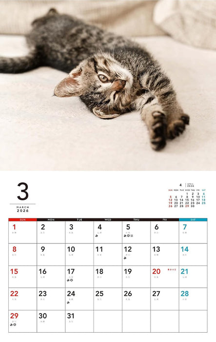 Kittens Calenddar 2026 (Monthly/Wall Calendar)