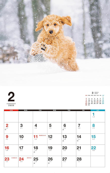 I LOVE Poodle Calendar 2025(Monthly/Wall Calendar)