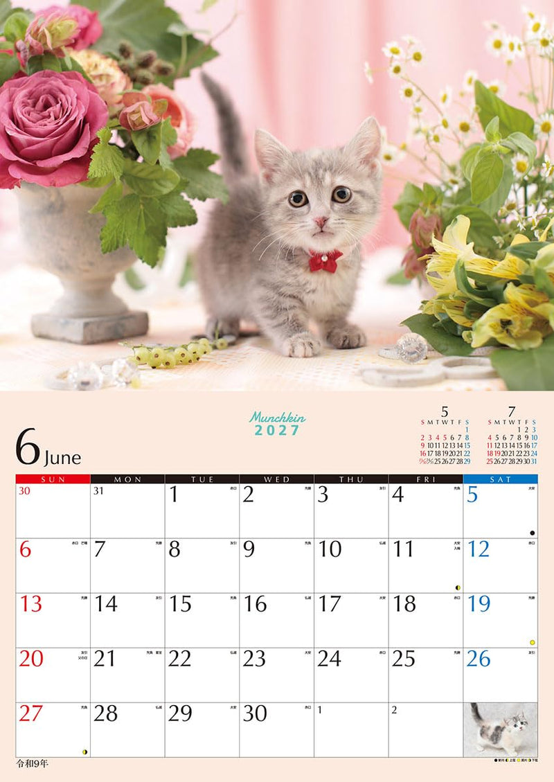 Try-X 2027 Wall Calendar Kitten Munchkin 27CL-382 51x36cm