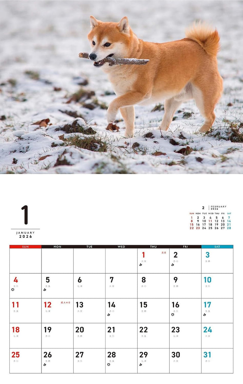 Honobono Shiba Calendar 2026 (Monthly/Wall Calendar)