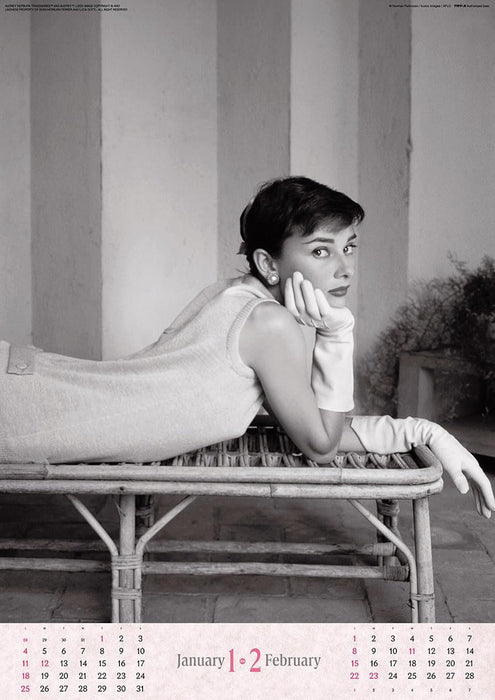 Try-X 2026 Wall Calendar Audrey Hepburn CL-341 B2