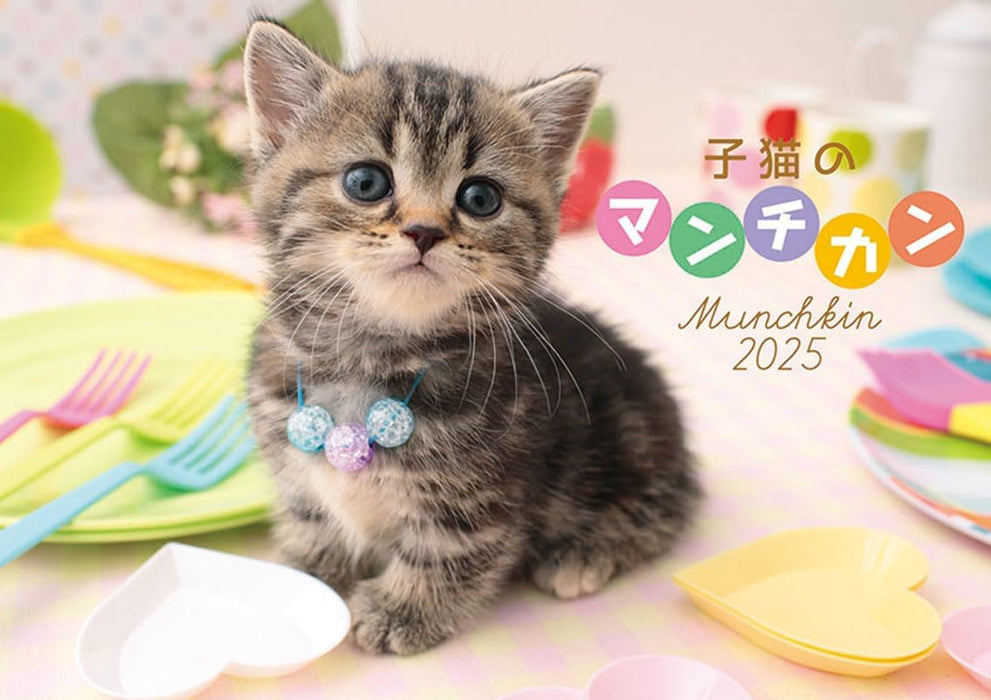 Try-X Kitten Munchkin 2025 Wall Calendar CL-382 51x 36cm