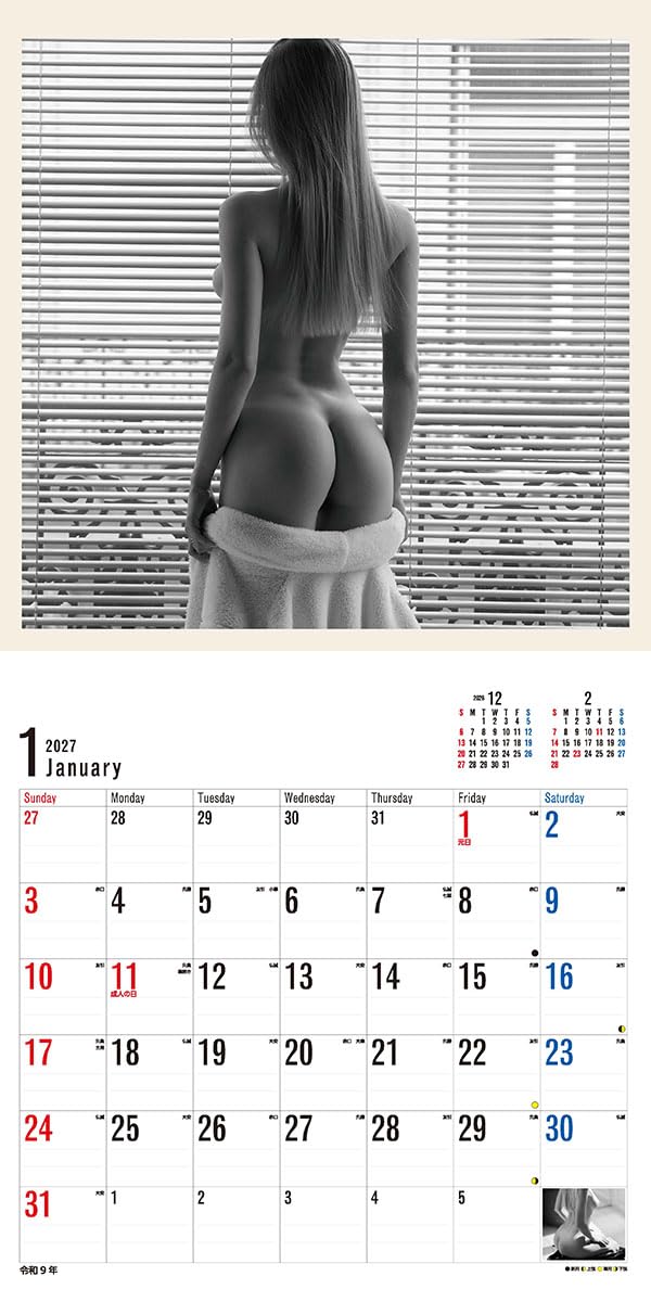 Try-X 2027 Wall Calendar Bottoms 27CL-1701 60x30cm